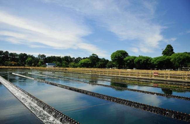 represa de guarapiranga