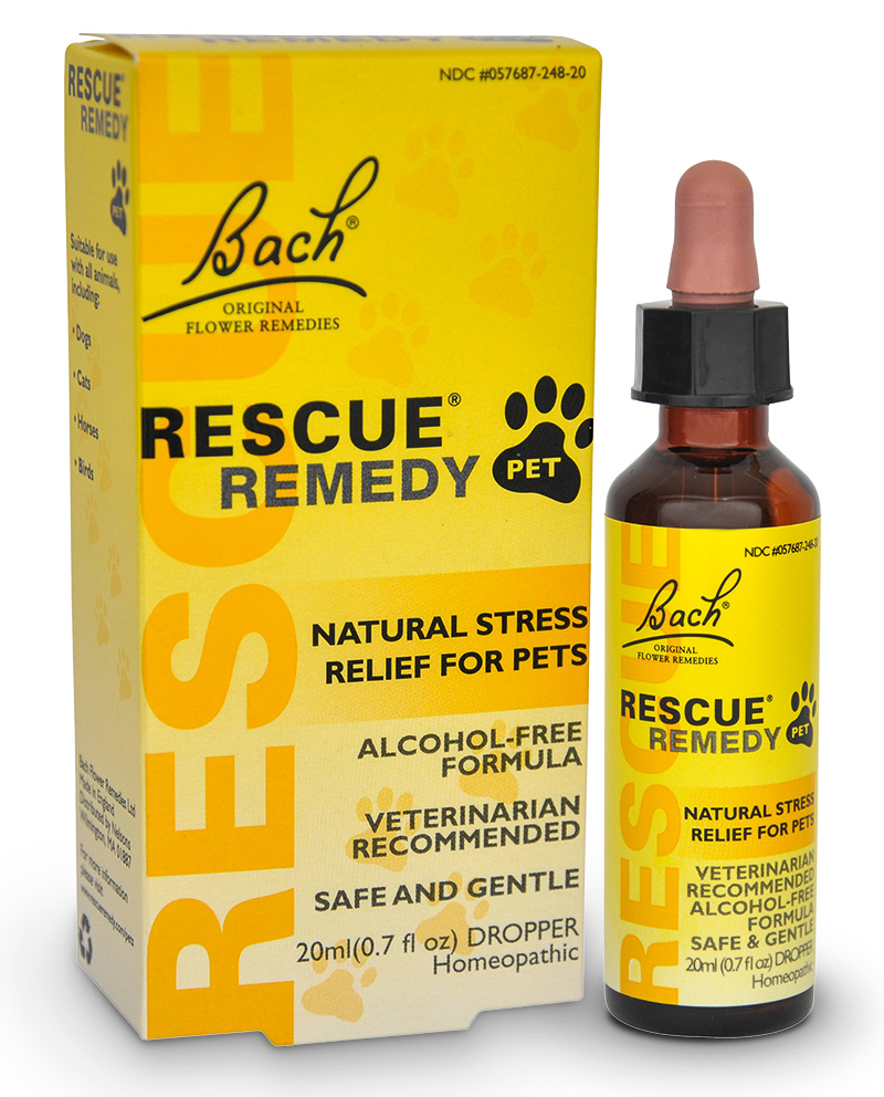 Rescue Remedy Pet: florais de Bach ajudam animais estressados