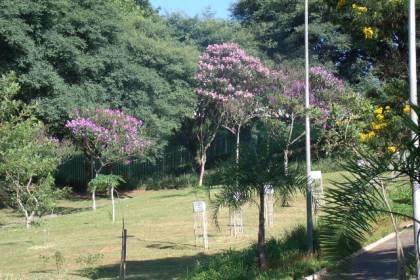 Parque Santa Amélia santa-amelia.jpeg