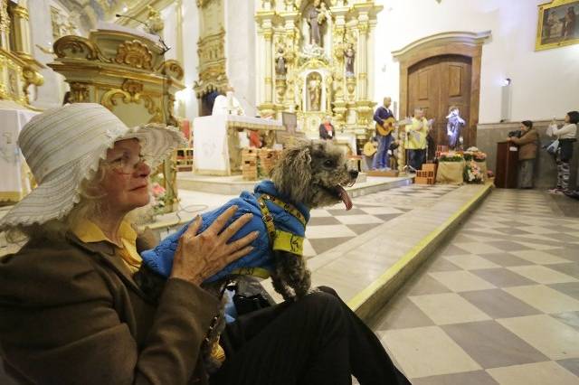 sao francisco igreja animais