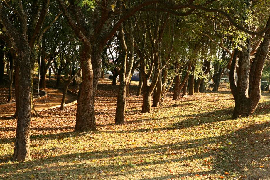 O Espaço Verde Chico Mendes possui uma área verde de 140 000 m² e é um dos principais destaques da cidade O Espaço Verde Chico Mendes possui uma área verde de 140 000 m² e é um dos principais destaques da cidade