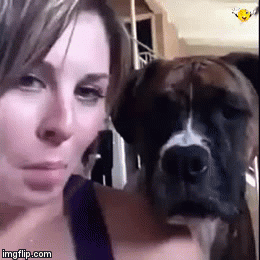 Cinemas oferecem desconto para quem tirar selfie com cachorro de estimação