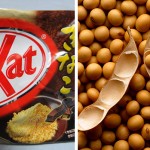 2) Soja &ndash; e n&atilde;o, n&atilde;o &eacute; no sentido de que &eacute; mais saud&aacute;vel e feito para quem tem alergia a leite e derivados; &eacute; s&oacute; porque eles s&atilde;o loucos mesmo