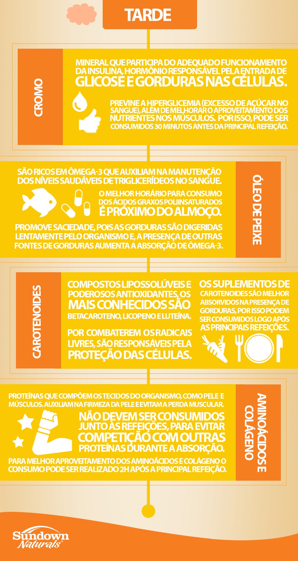 suplementos-tarde