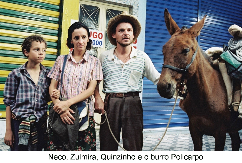 Tapete Vermelho (2005), de Luiz Alberto Pereira