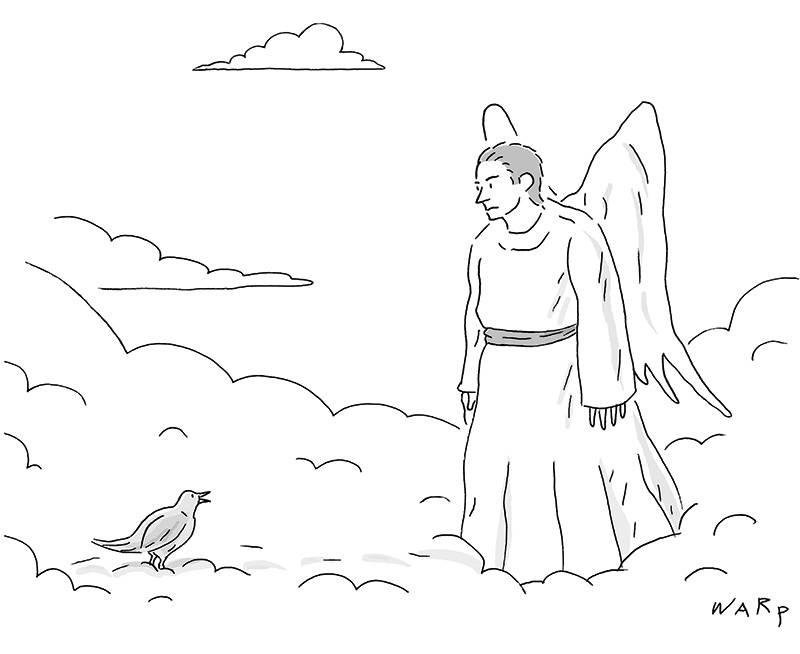 O pássaro e o anjo
