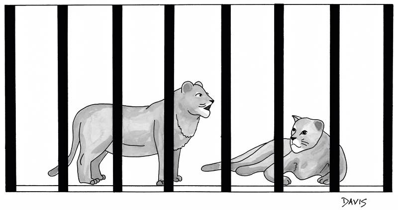 Cartum: tudo depende da referência