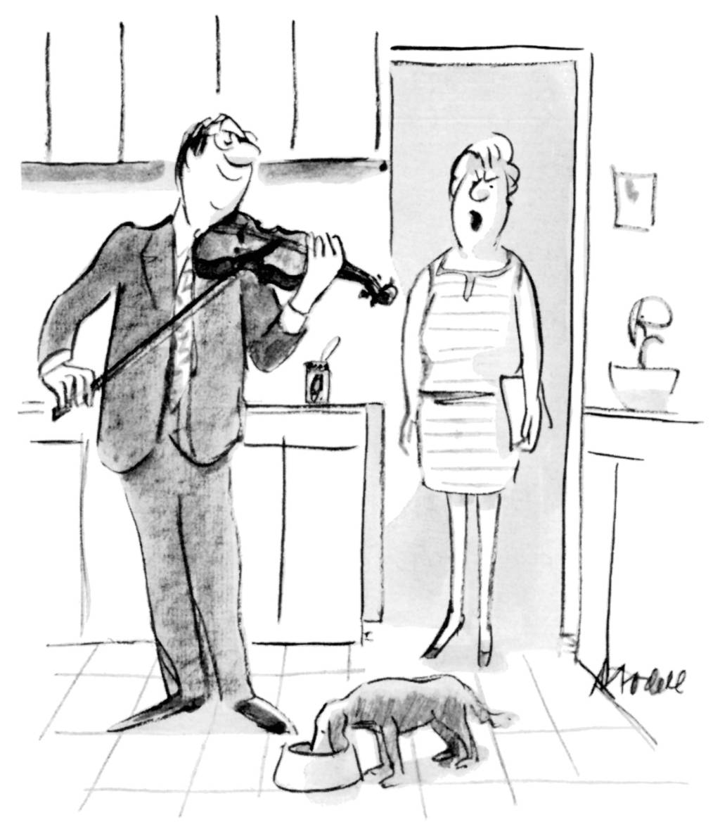 Cartum: cãozinho mimado