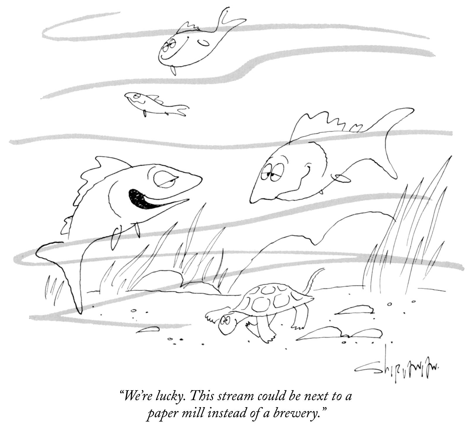 Peixes embriagados