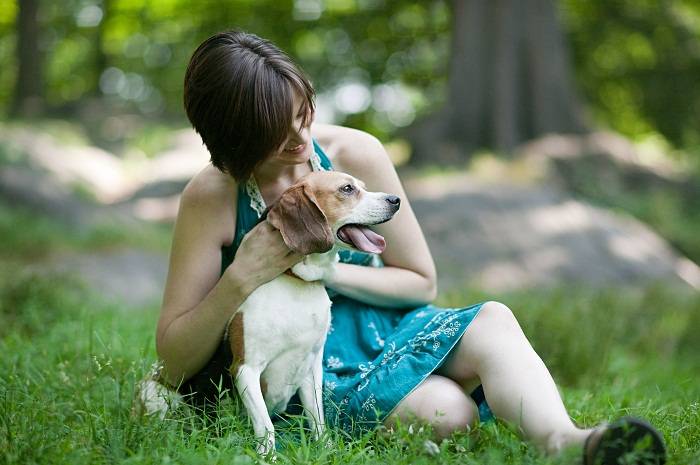 Marcas de cosméticos que fazem e não fazem testes em animais