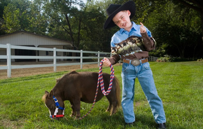 Conheça Thumbelina, o menor cavalo do mundo