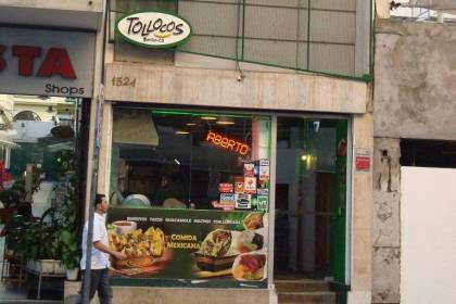 Tollocos tollocos.jpeg