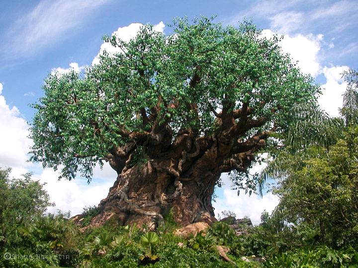 Dez segredos que você provavelmente não sabia sobre a Disney