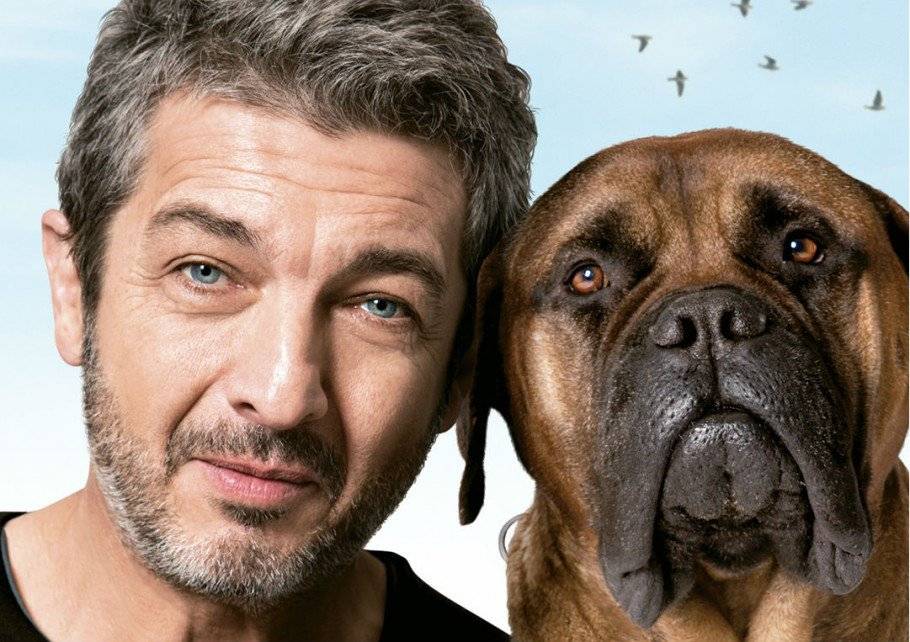 Saiba como pagar meia-entrada para ver o ótimo filme ‘Truman’, com Ricardo Darín