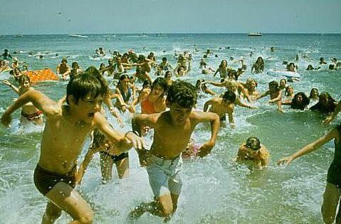 Tubarão, em Blu-ray, como você nunca viu