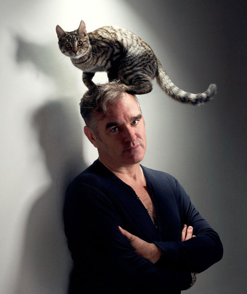 Morrissey, fã de gatinhos e defensor da causa animal