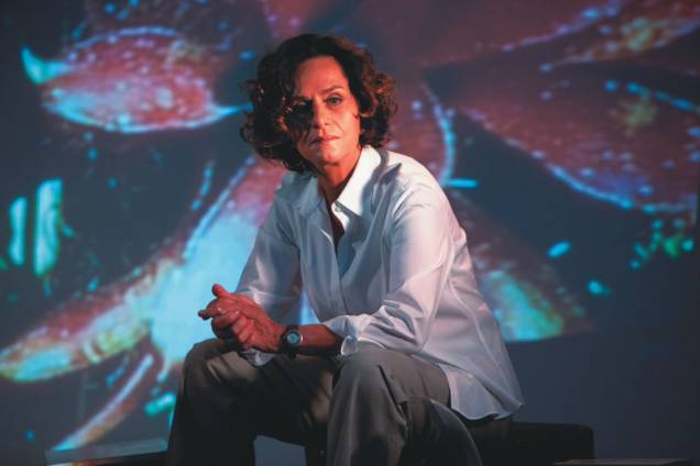 Regina Braga protagoniza Um Porto para Elizabeth Bishop: monólogo enfoca a vivência da poetisa americana no Brasil Regina Braga protagoniza Um Porto para Elizabeth Bishop: monólogo enfoca a vivência da poetisa americana no Brasil