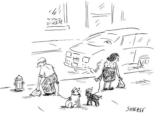 Cartum: momento especial