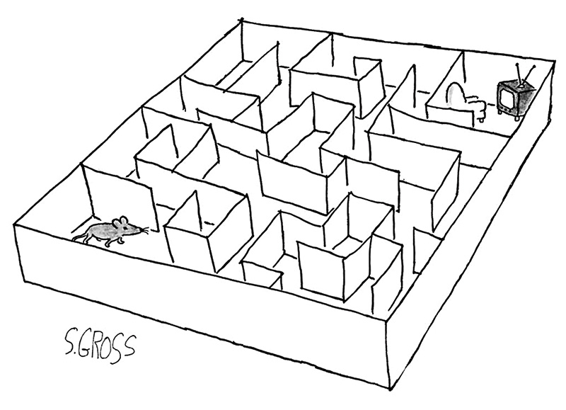 Os obstáculos até a felicidade