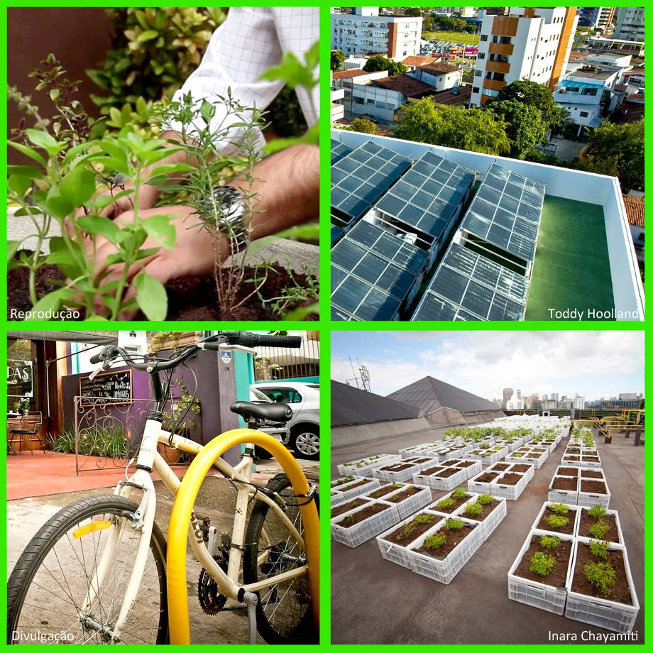 Missão da semana: “Sustentabilidade: o jeito verde de viver”