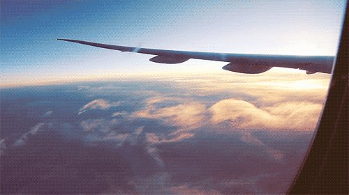 Cinco dicas para planejar uma viagem econômica