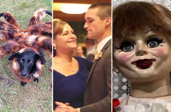 Os 10 vídeos virais mais incríveis de 2014