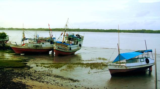 Um mundo desconhecido: o documentário Expedição Viva Marajó mostra as desigualdades do arquipélago brasileiro Um mundo desconhecido: o documentário Expedição Viva Marajó mostra as desigualdades do arquipélago brasileiro