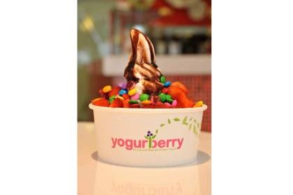 yogurberry-2.jpeg