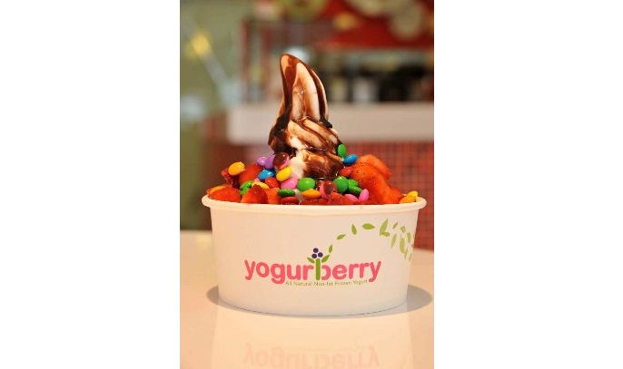 Yogurberry - Frozen Yogurts