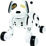 Zoomer: dispon&iacute;vel por R$ 499,00 apenas nas redes PBKIDS e Ri Happy