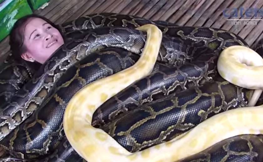 Zoológico nas Filipinas oferece serviço de “spa” com… cobras; assista