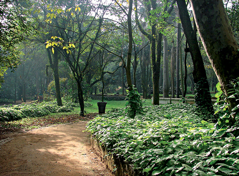 parquedopiqueri2-jpg.jpeg Parque do Piqueri