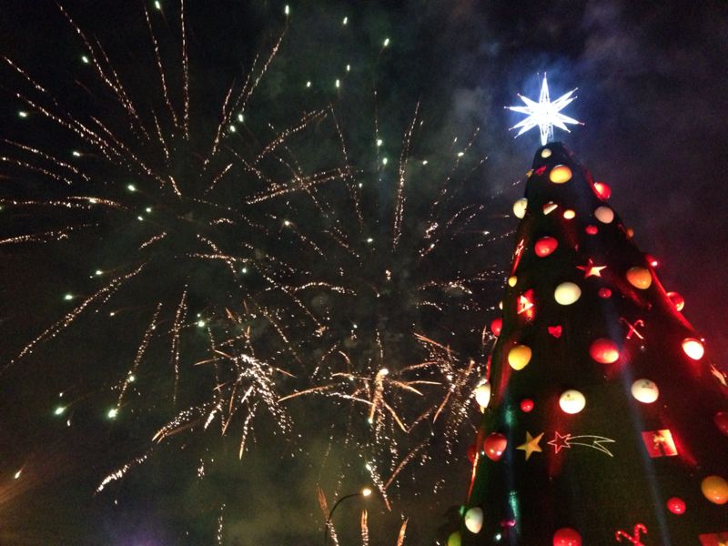 Como proteger cães e gatos dos fogos de artifícios