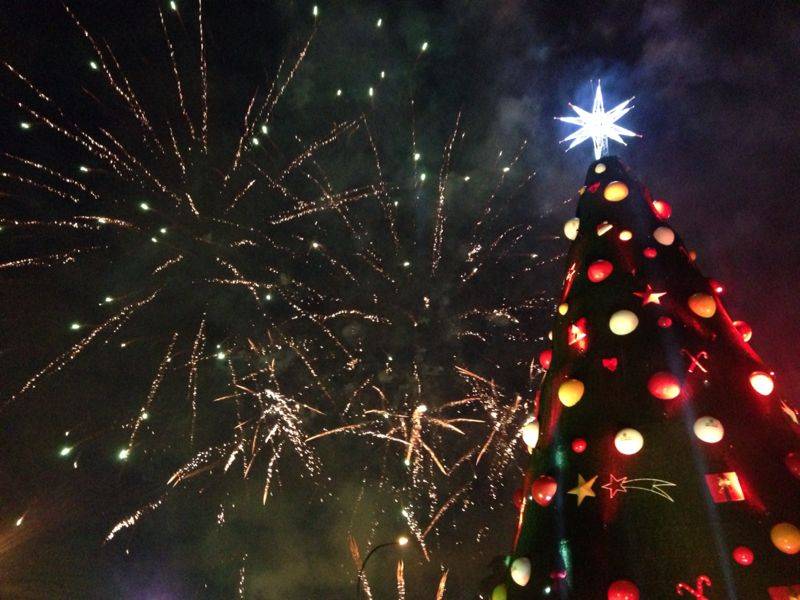 Como proteger cães e gatos dos fogos de artifícios