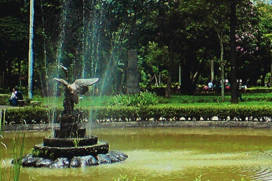 Capa 2261 - Parque da Luz