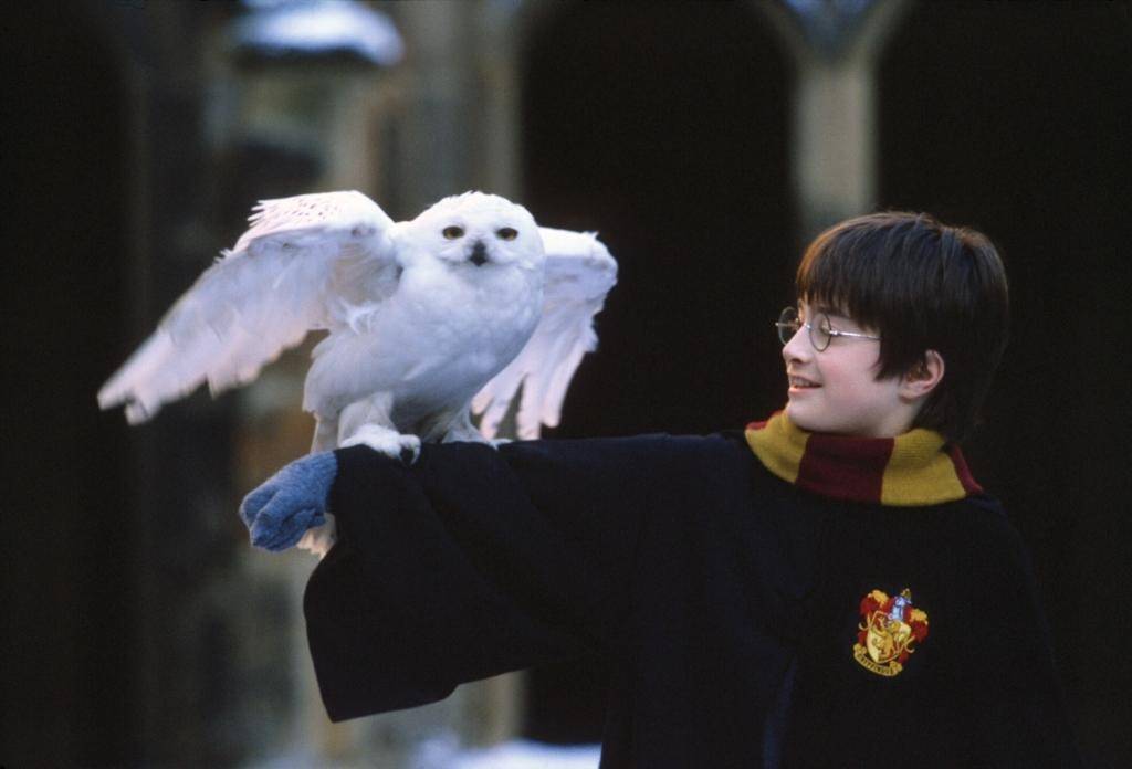 Série do universo ‘Harry Potter’ será produzida na Max