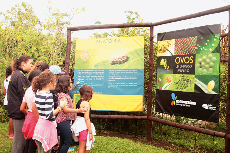 Borboletário Águias da Serra Borboletário Águias da Serra