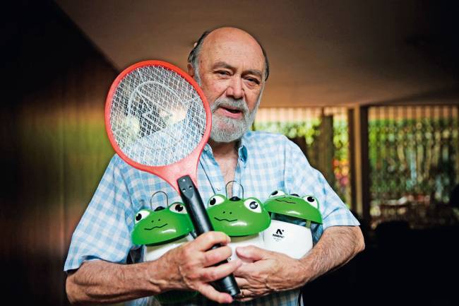 Infestação de pernilongos Infestação de pernilongos