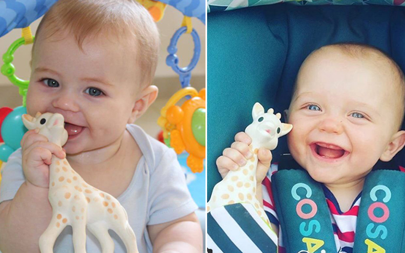 Pais descobrem fungo em brinquedo da moda e reclamam na web