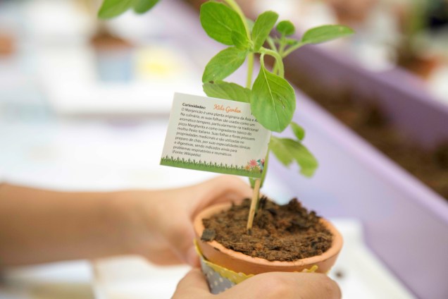Crianças de 4 a 12 anos poderão aprender a plantar mudinhas e decorar vasos Crianças de 4 a 12 anos poderão aprender a plantar mudinhas e decorar vasos