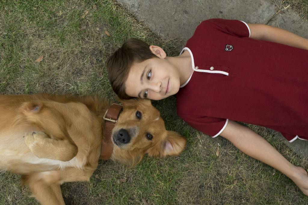 Quer ganhar ingresso para ver ‘Quatro Vidas de um Cachorro’?