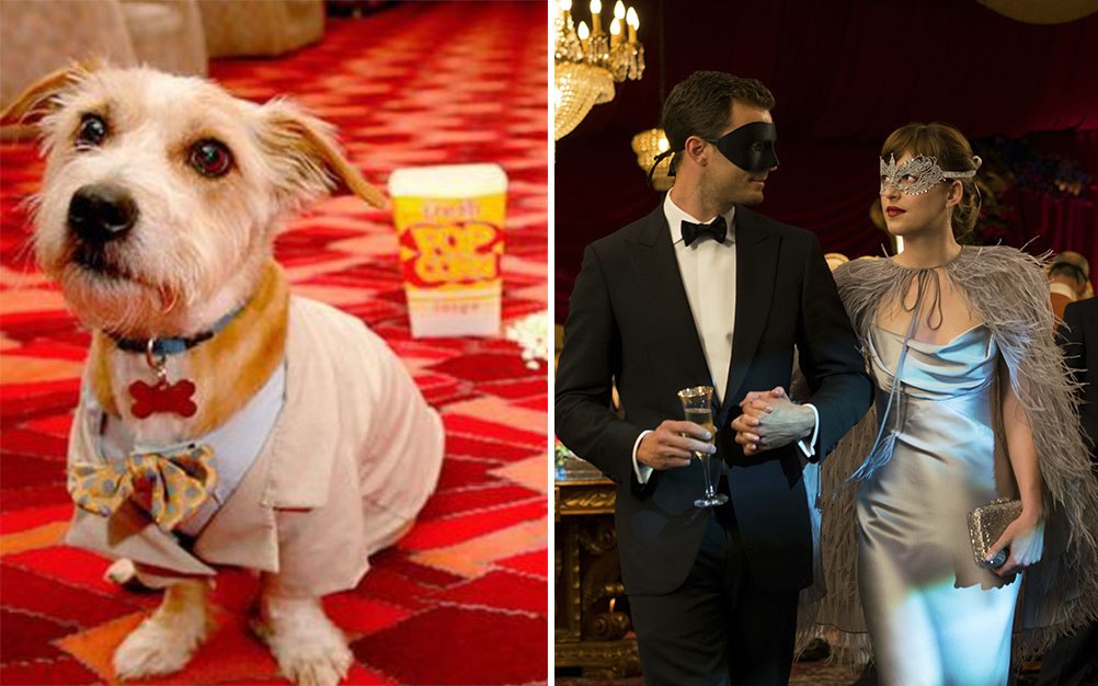 Objeto inusitado é encontrado após sessão de “Cinquenta Tons”