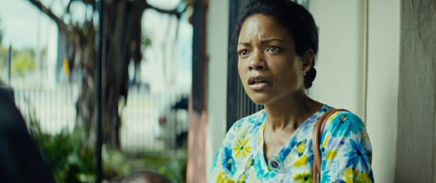 Moonlight - Sob a Luz do Luar Moonlight - Sob a Luz do Luar