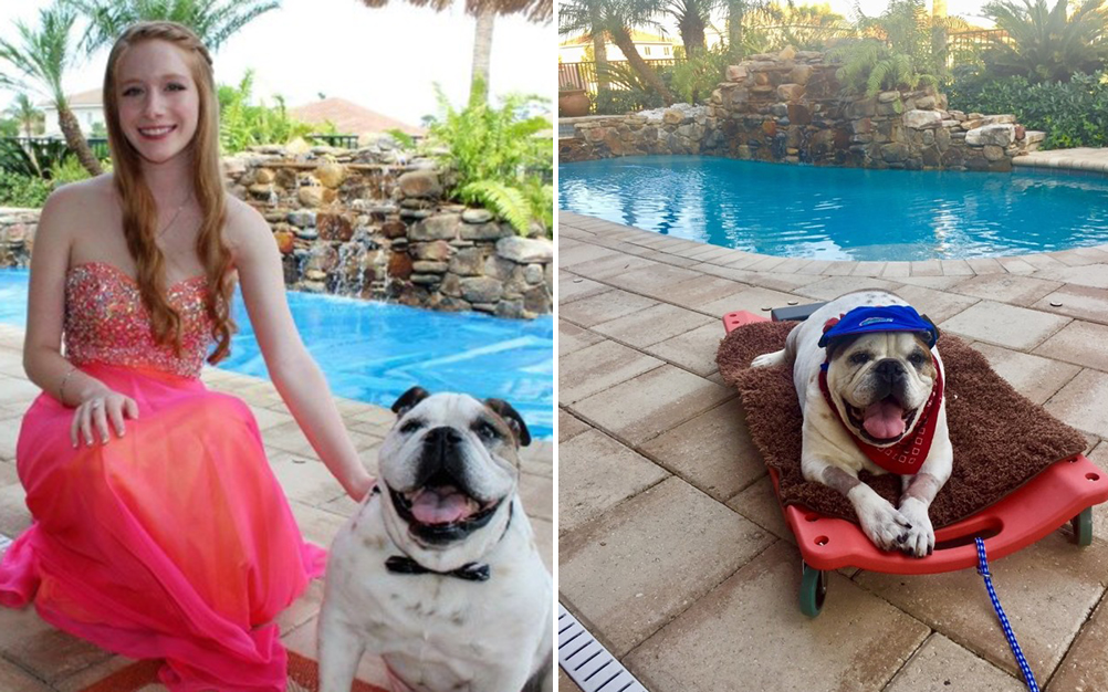 O pai desta jovem surpreendeu ao presentear mascote da família