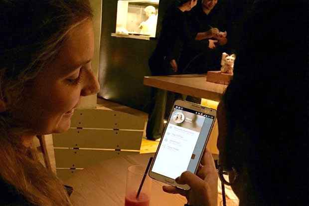 Celebridades que curtem (ou curtiram) a folia no Tinder