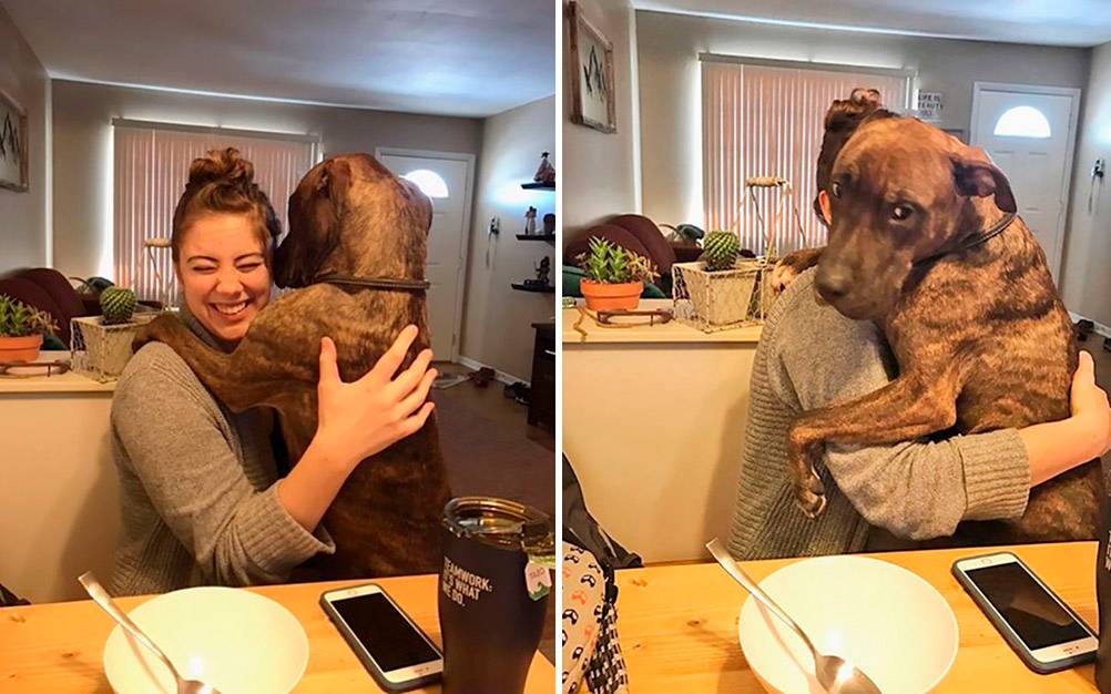 Após adoção, cachorro agradece nova dona com abraços diários