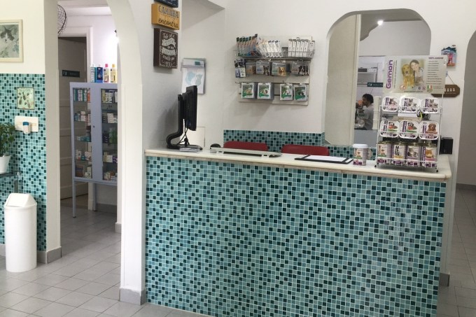Amigo Centro Médico Veterinário