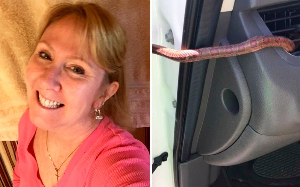 Mulher é surpreendida por cobra saindo da ventilação do carro