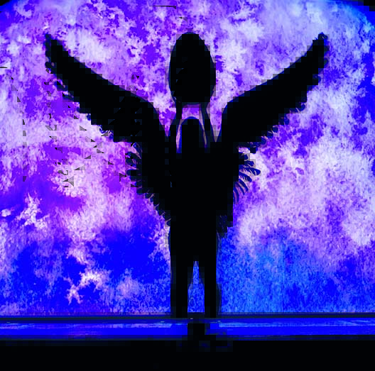 Pilobolus Shadowland 2: A Nova Aventura Pilobolus Shadowland 2: A Nova Aventura