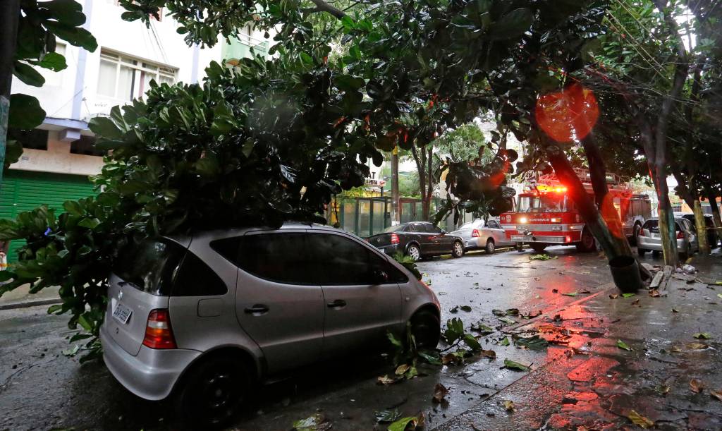 Chuva provoca queda de árvore na Bela Vista
